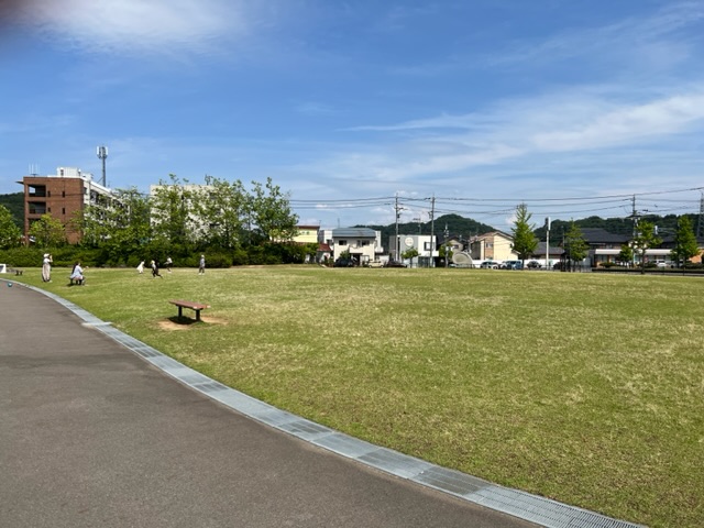 運動公園の芝生広場